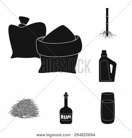 Isolated Object Of Sucrose And Technology Sign. Collection Of Sucrose And Cane Stock Vector Illustra