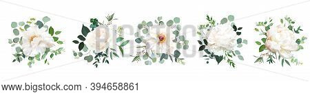 Ivory Beige, White And Creamy Rose, Peony Flowers Vector Design Wedding Bouquets. Eucalyptus, Greene