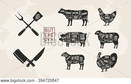 Butcher's Guide Set. Pig, Lamb, Cow, Chicken, Turkey Silhouette Cuts. Bbq Utensils. Meat Diagram. Cu