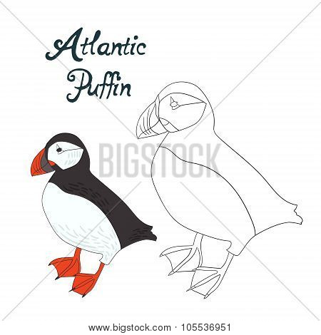 Educational game coloring book puffin bird