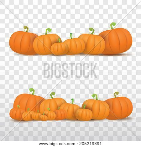 autumn vector orange pumpkins border design template for banners and thanksgiving day backgrounds. vector Pile of pumpkins frame isolated on isolated on transparent background