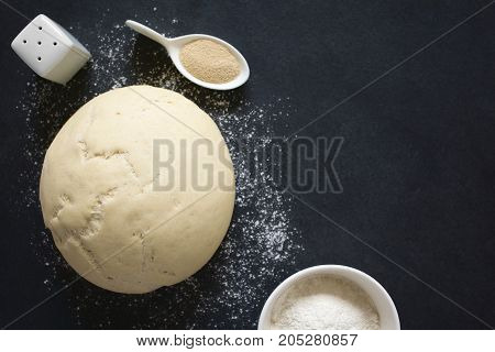 Risen or proved yeast dough for bread or pizza on a floured slate surface ingredients on the side photographed overhead with natural light (Selective Focus Focus on the top of the dough)