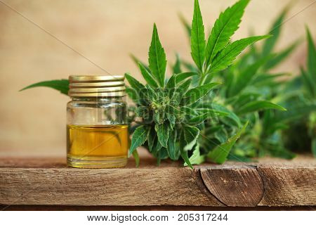 Cannabis Oil And Hemp