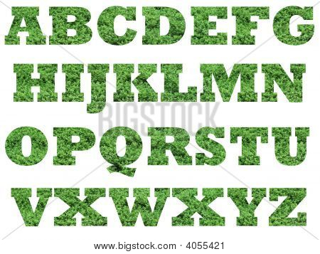 Alphabet Grass Font