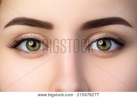 Close up view of beautiful brown female eyes. Perfect trendy eyebrow. Good vision contact lenses brow bar or fashion eyebrow makeup concept