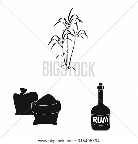 Vector Illustration Of Sucrose And Technology Icon. Set Of Sucrose And Cane Stock Vector Illustratio