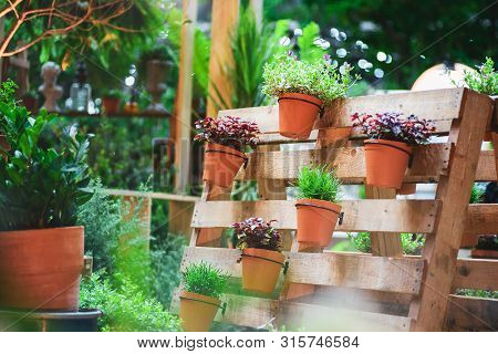 Diy Recycled Wooden Pallet For Flower Pots. Storage Industrial Pallet Used In Gardening For A Wall D