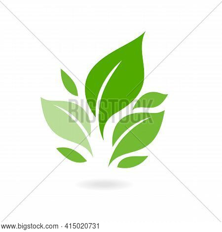 Green Leaf Ecology Nature Vector Icon. Plants And Leaves. Logos Of Green Leaf Ecology Nature Element