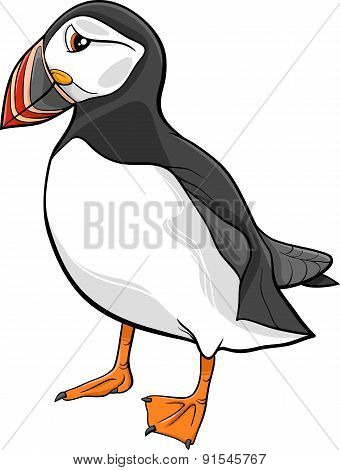 Atlantic Puffin Cartoon Illustration