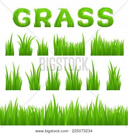 Grass texture design elements set isolated on white background. Collection of early spring green grass horizontal seamless grass row, grass bushes, grass inscription. Vector illustration