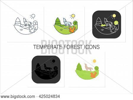 Temperate Forest Icons Set.forest Found Between Tropical, Boreal Regions, Located In Temperate Zone.