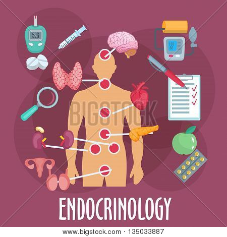 Endocrinology medical icon of human body with marked major internal organs and endocrine glands, pills and insulin injection, medical checkup form, glucose and blood pressure monitoring, healthy food and vitamins. Flat style