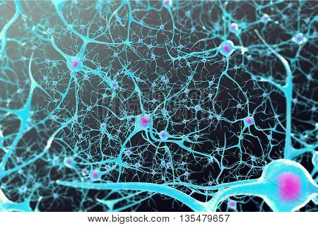 Neurons in the brain with a nucleus inside on black background 3d illustration