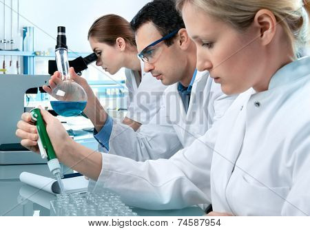 group of students working at the laboratory