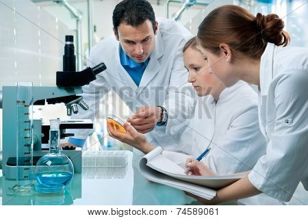 group of scientists working at the laboratory