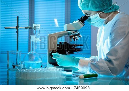 scientist working at the laboratory