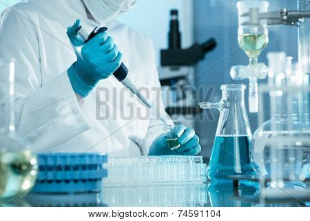 scientist working at the laboratory