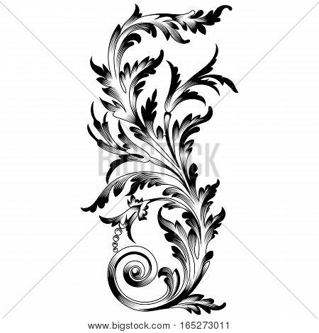 Black vintage ornament, baroque ornament, scroll ornament, engraving border ornament, floral ornament, retro pattern ornament, antique ornament, style acanthus ornament, foliage swirl ornament, decorative ornament, filigree ornament, calligraphy ornament