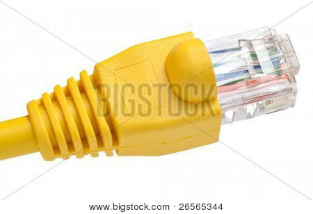 A network RJ45 connector isolated on a white background with clipping path