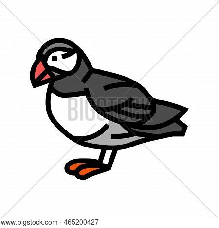 Atlantic Puffin Bird Exotic Color Icon Vector. Atlantic Puffin Bird Exotic Sign. Isolated Symbol Ill