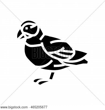 Atlantic Puffin Bird Exotic Glyph Icon Vector. Atlantic Puffin Bird Exotic Sign. Isolated Symbol Ill