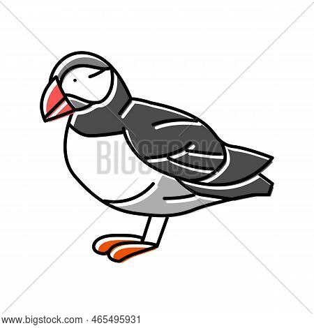 Atlantic Puffin Bird Exotic Color Icon Vector. Atlantic Puffin Bird Exotic Sign. Isolated Symbol Ill