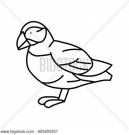 Atlantic Puffin Bird Exotic Line Icon Vector. Atlantic Puffin Bird Exotic Sign. Isolated Contour Sym