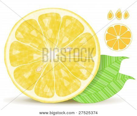 Lemon Slice