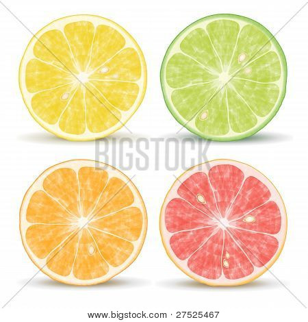 Citrus Fruits