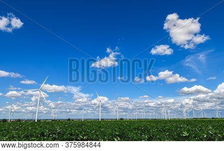 Windmills For Electric Power Production In  Cassava Field On Blue Sky At Huai Bong, Dan Khun Thot Di