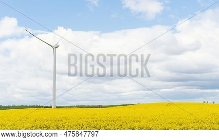 An Electricity-generating Windmill On The Yellow Rapeseed Field Against A Cloudy Blue Sky In Yorkshi