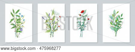 Creative Minimalist Abstract Art Wild Flowers, Leaves, Branch, Bouquet. Hand Drawn Doodle Scribble F