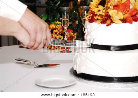 Cake Cutting