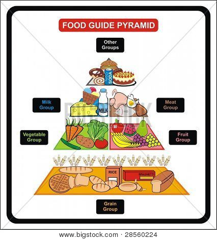 VECTOR - Food Guide Pyramid - Including Groups ( Grain, Fruit, vegetable, milk, meat, other ) - Useful for School , educational Material, Clinics and Diet