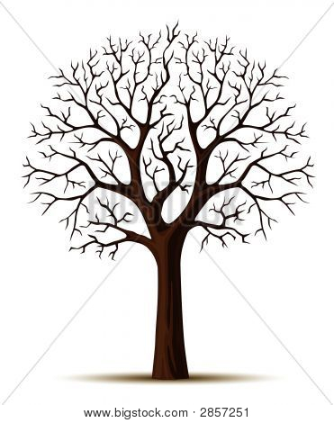 Vector Silhouette Of Tree Branches Cron