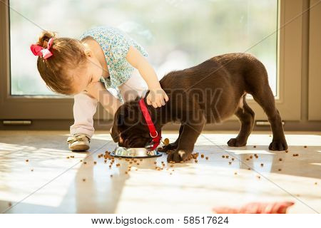 Cute little girl feeding her puppy