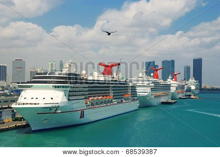 Cruise ships at port of Miami