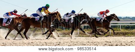 Horse Racing In Pyatigorsk