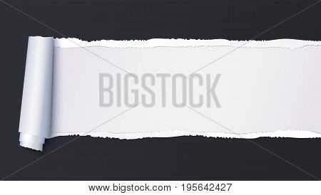 Realistic black torn open paper with space for text on white background, holes in paper. Torn strip of paper with uneven, torn edges. Coiling torn strip of paper