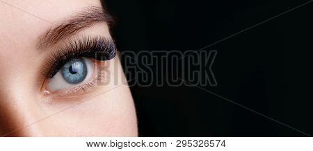 Close Up View Of Beautiful Blue Female Eye With Long Eyelashes And Perfect Trendy Eyebrows On Dark B