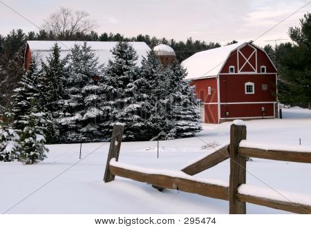 Winter On The Farm