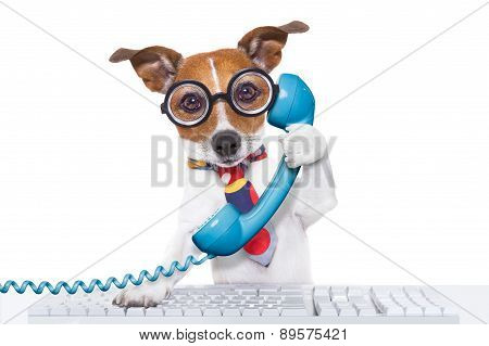 Dog On The Phone