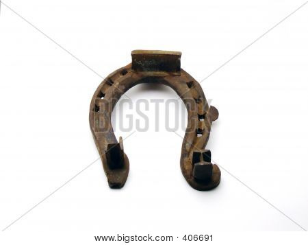 Lucky Horse Shoe