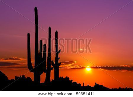 Sunset In Mexican Canyon