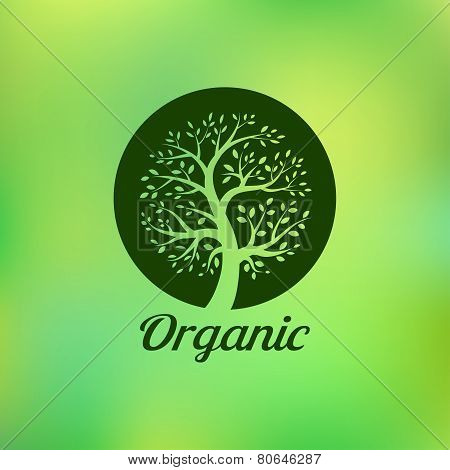 Organic green tree logo, eco emblem, ecology natural symbol