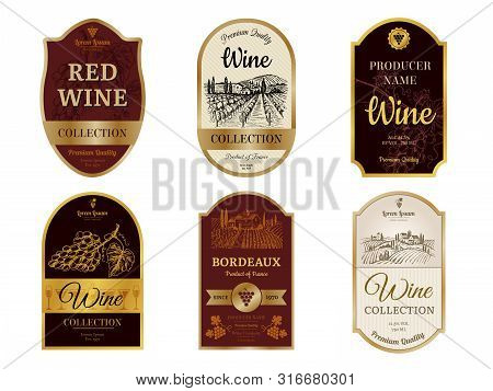 Wine Vintage Labels. Alcohol Wine Champagne Drinks Badges Luxury Style With Pictures Of Vineyard Sil