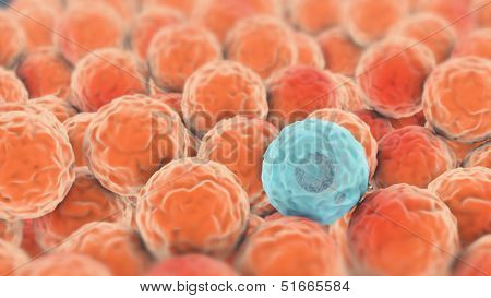 Infected Cell