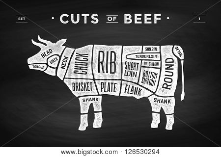 Cut of meat set. Poster Butcher diagram and scheme - Cow. Vintage typographic hand-drawn on a black chalkboard background. Vector illustration