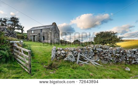 Moorland Farmyard