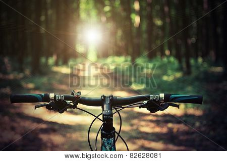 Mountain biking down hill descending fast on bicycle. View from bikers eyes.